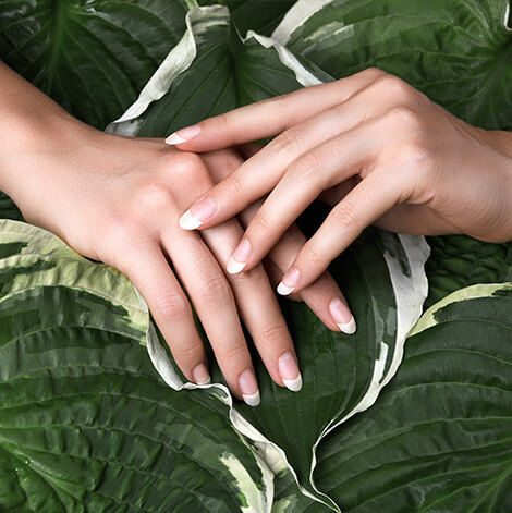 Manicure Services at Queen Nail Spa Paducah KY