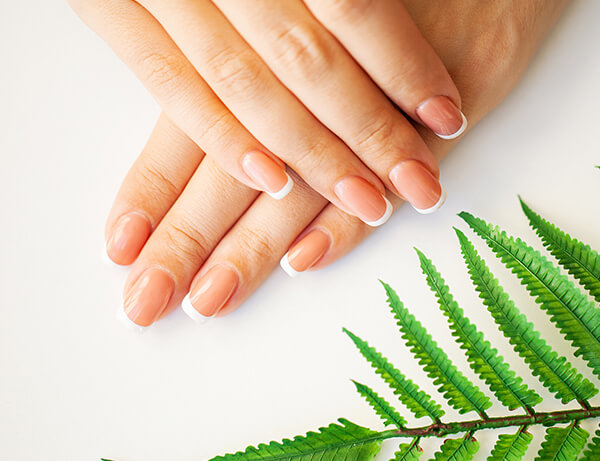 Nail Services at Queen Nail Spa Paducah KY